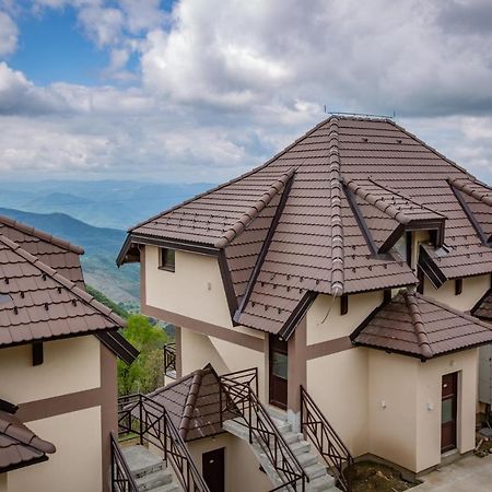 Apartments View Dvori E25 Копаоник Екстер'єр фото